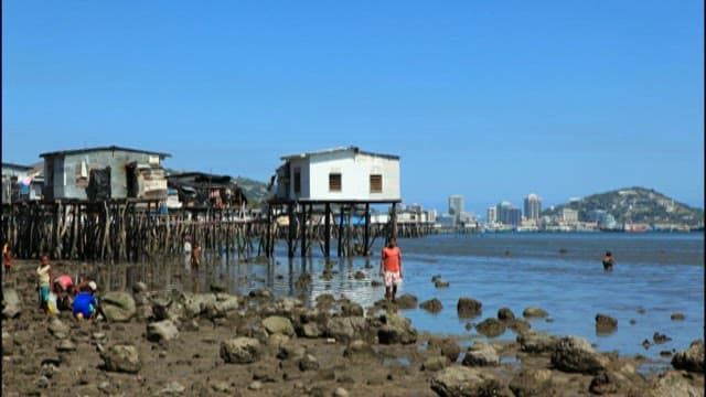 Floating houses on the coast