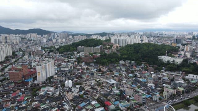 Cityscape with Green Space and Dense Buildings