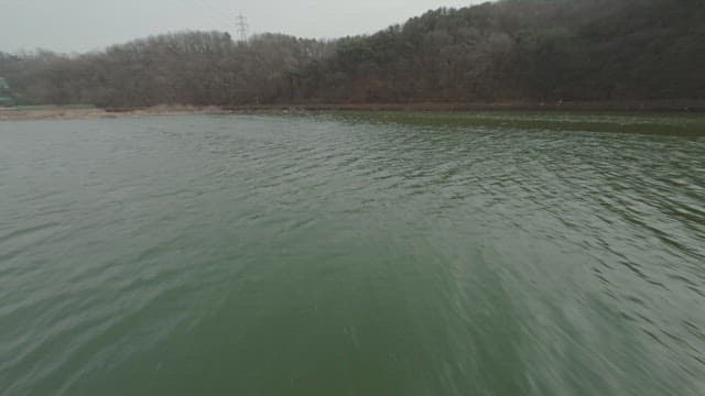 Tranquil lakeside with a wooden walkway