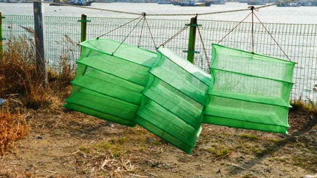 Green nets drying under the sun near the waterfront