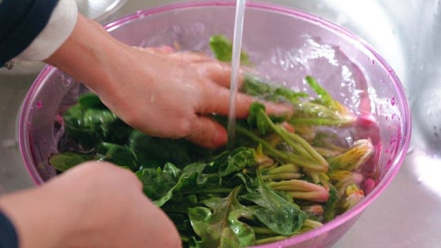 Washing fresh green spinach in a kitchen sink