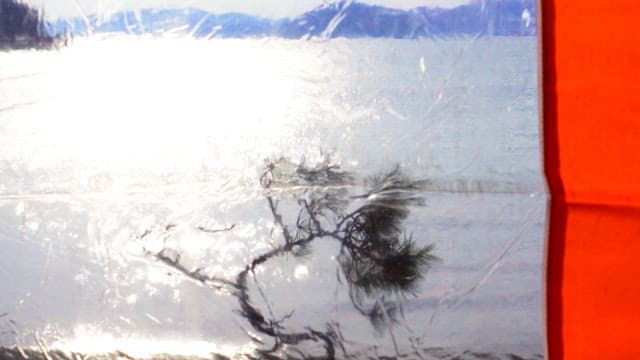 Serene seascape and pine tree seen through the window of a tent in the early morning