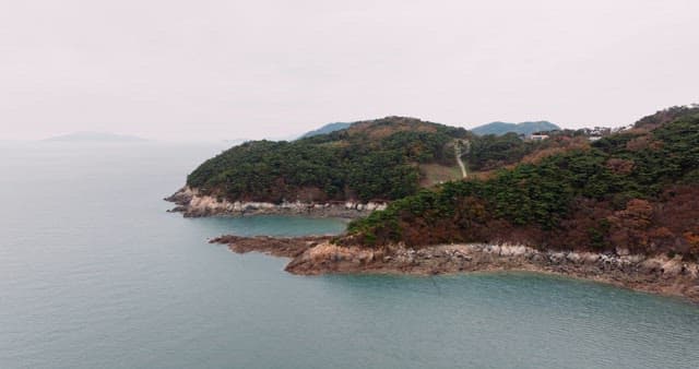 Serene Coastal Landscape with Forest and Sea