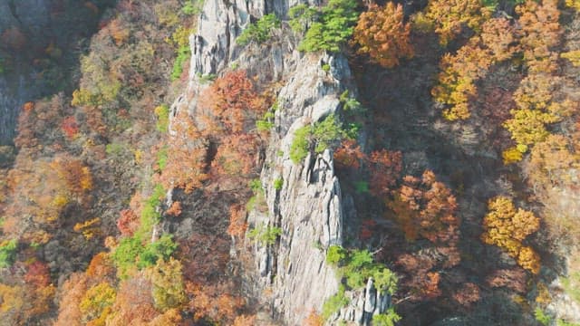 Autumn foliage on a rocky mountain