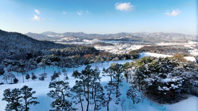 Snow-Covered Landscape with Trees and Mountains