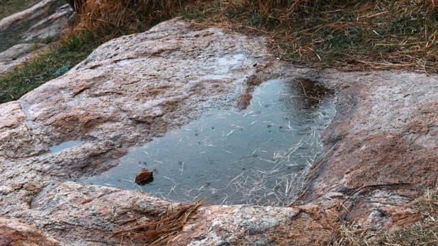 Rainwater collected in a rocky surface