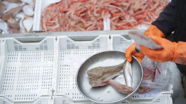 Fish Weighing Process at a Market