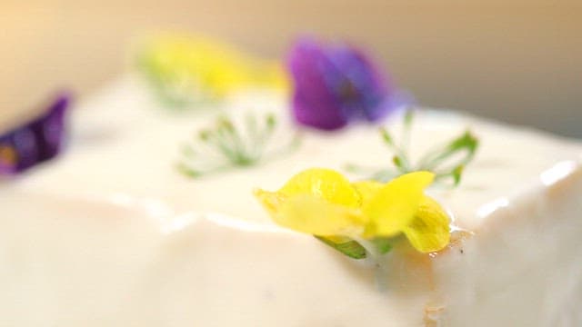 Tofu dish decorated with edible flowers