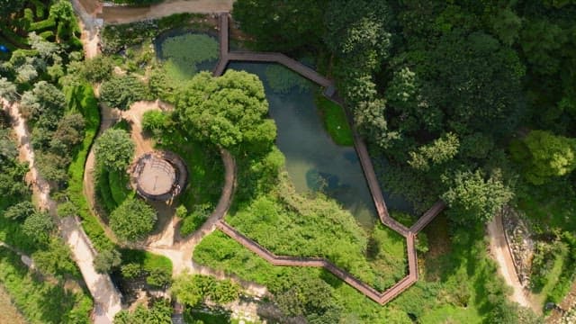Aerial view of a lush green maze garden