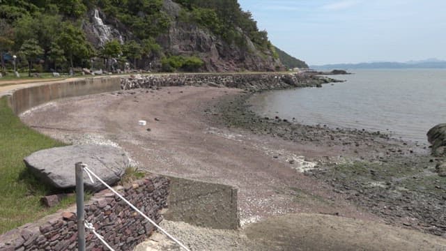 Hands Collecting Small Shells on a Rocky Shore