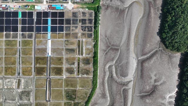 Landscape of Salt Pan in Coastal Village on a Sunny Day