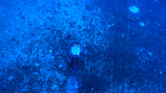 Diver swimming in the sea