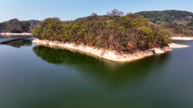 Tranquil lake surrounded by lush trees