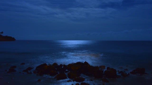 Coastal scenery under the calm night sky
