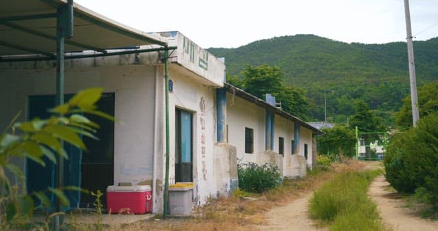Abandoned Building by the Path with Lush Bush