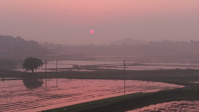 Sunset over serene rice fields
