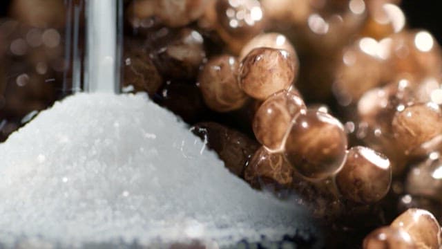 Caviar, Exclusive Ingredient from the Sea