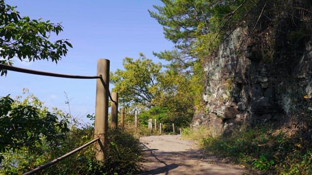 Pathway by a rocky cliff amidst lush greenery on a clear day