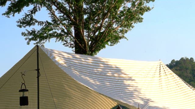 Striped tent pitched under a tree on a windy afternoon