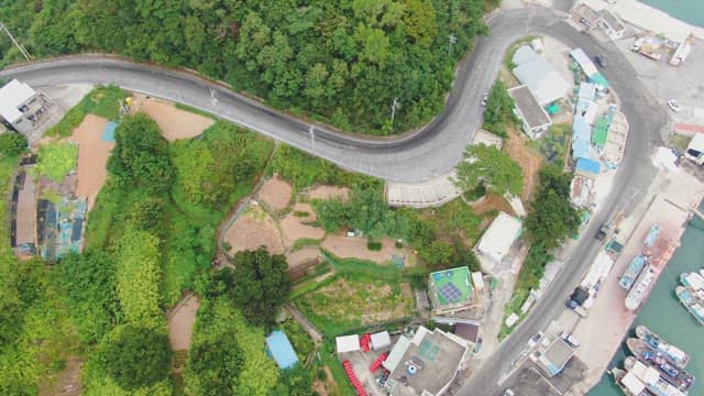 Winding coastal road through a lush green forest
