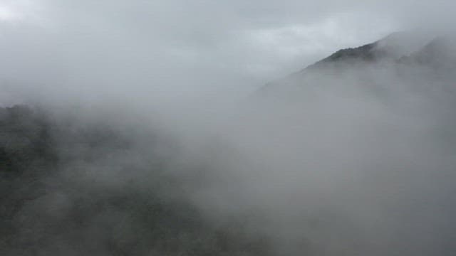 Majestic and lush green mountain range covered in thick fog