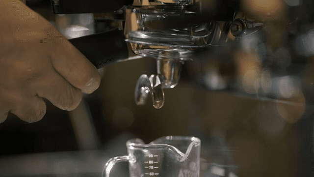 Coffee Machine Ready to Brew Coffee