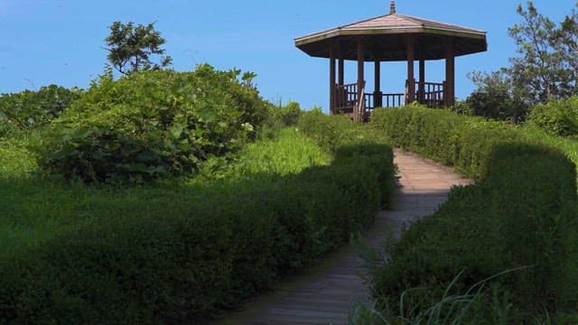 Serene Pathway Leading to Gazebo in Nature