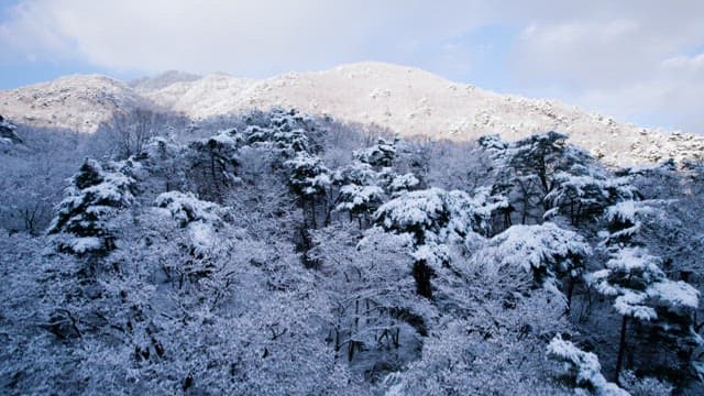 Mountain with Snowflakes Covering the Trees and Peaks