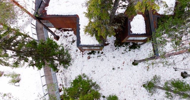 Snow-covered forest with modern cabins