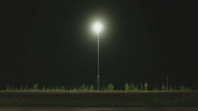 Nighttime walk under a street light with fireworks