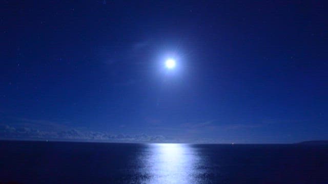 Serene Moonlit Sea at Night