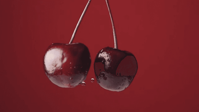 Two fresh cherries with water droplets