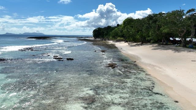 Serene beach with clear water and trees
