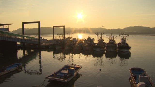 Sunrise over a Calm Harbor with Fishing Boats Anchored