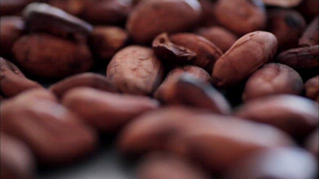 Brown roasted cocoa beans