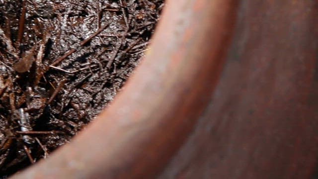 Fermented soy sauce in a traditional crock