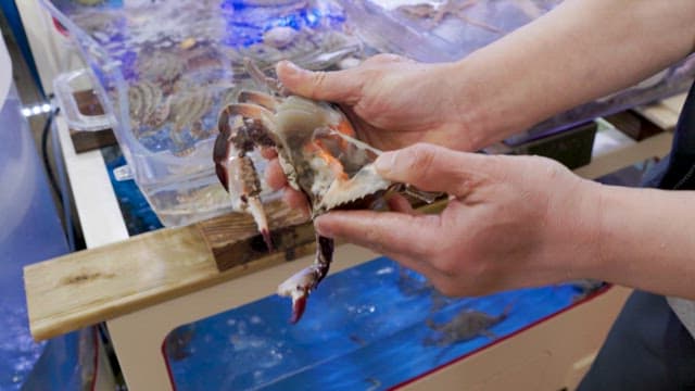 Inspecting a Fresh Crab at a Seafood Market