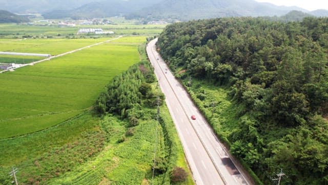 Green forests and farmland with roads for cars to travel on
