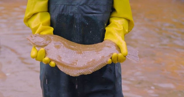 Person Holding a Freshly Caught Fish