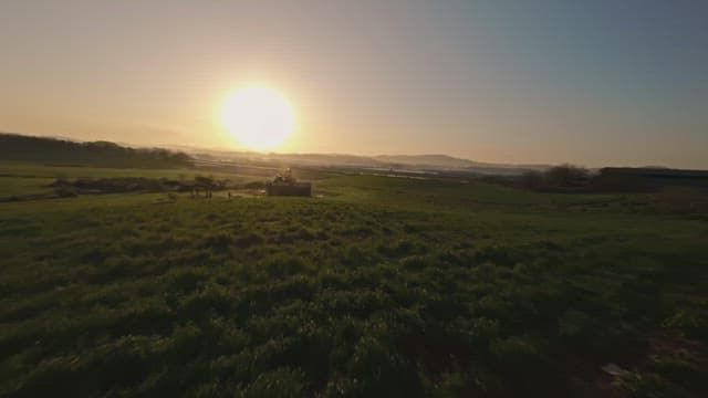 Sunset over a vast green field