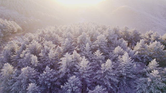 Sunrise Over the Snow-White Mountains