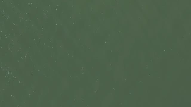 View of a river with green plants