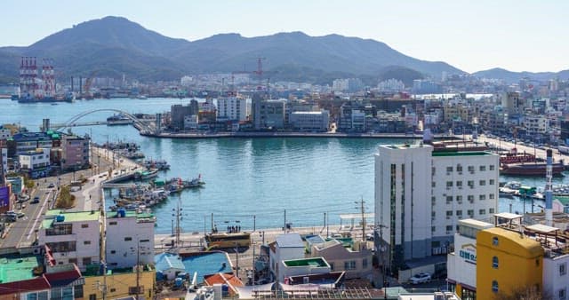 Daytime scenery of a busy port city