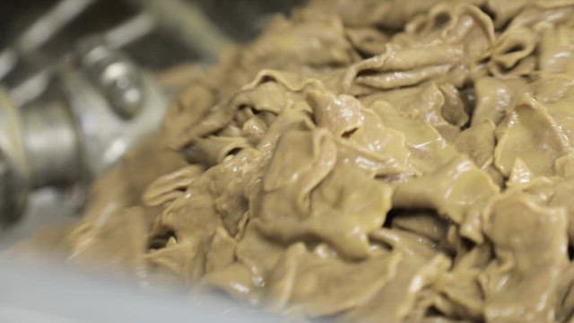 Fresh flour dough being mixed in an industrial machine