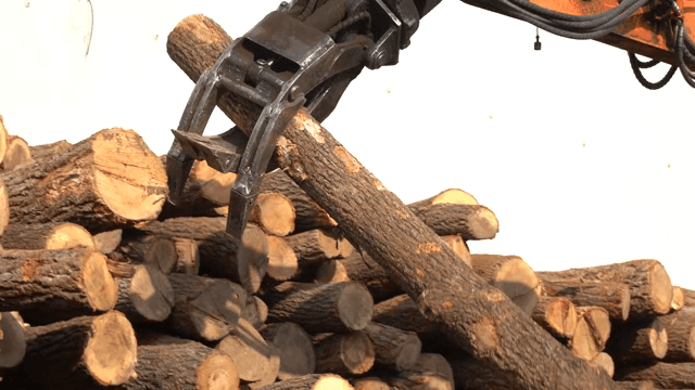Excavator stacking logs outdoors