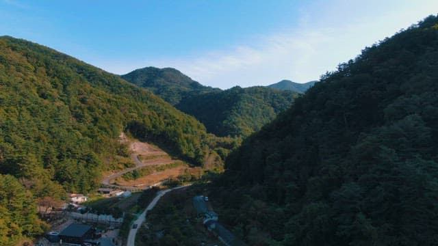 Lush Mountain Valley