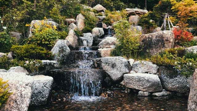 Small waterfall cascading over rocks surrounded by lush greenery