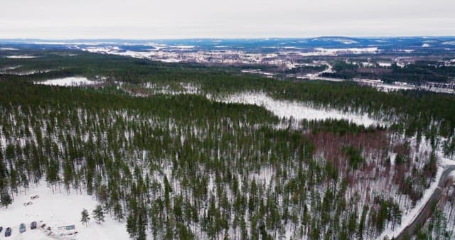 Snow-covered forest and distant building