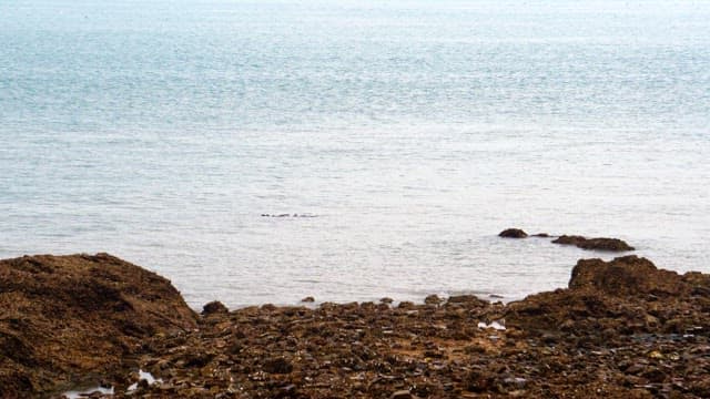 Secluded rocky shore with a calm sea in the background
