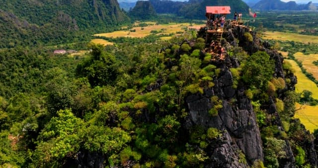 Scenic Viewpoint on a Lush Mountain Peak